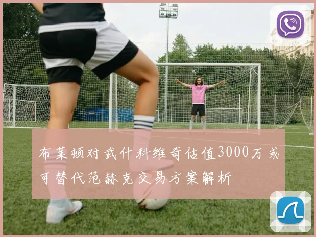 布莱顿对武什科维奇估值3000万或可替代范赫克交易方案解析