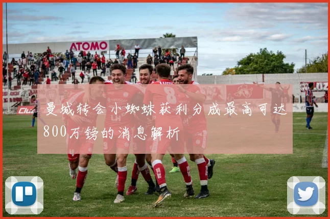 曼城转会小蜘蛛获利分成最高可达800万镑的消息解析