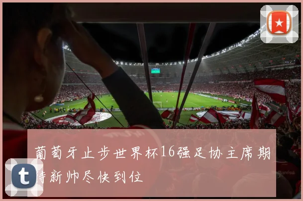 葡萄牙止步世界杯16强足协主席期待新帅尽快到位