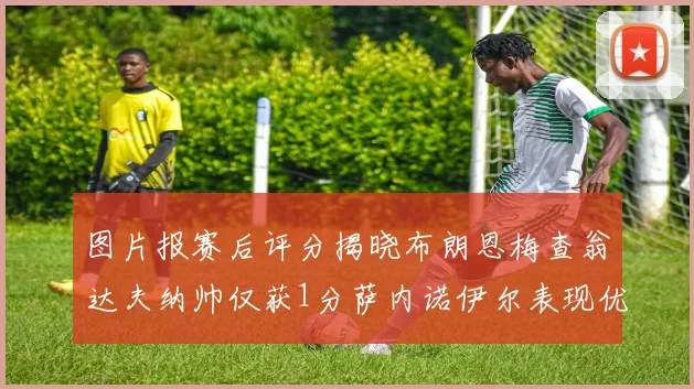 图片报赛后评分揭晓布朗恩梅查翁达夫纳帅仅获1分萨内诺伊尔表现优异获3分