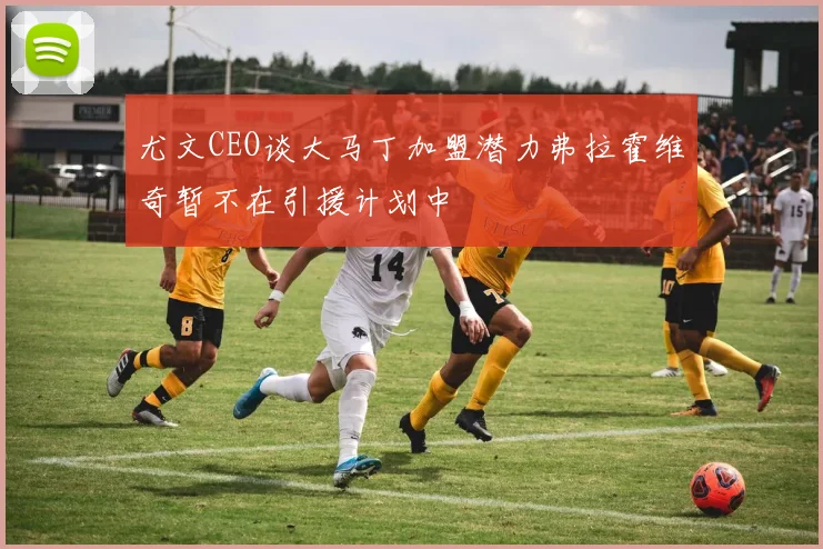 尤文CEO谈大马丁加盟潜力弗拉霍维奇暂不在引援计划中